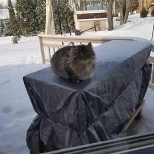 Meet your Posher, Jill